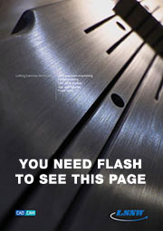 you need Flash to view this page